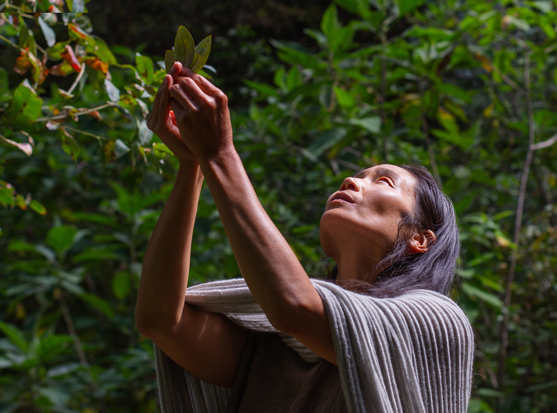 A woman in the forest, holding a leaf up to the light